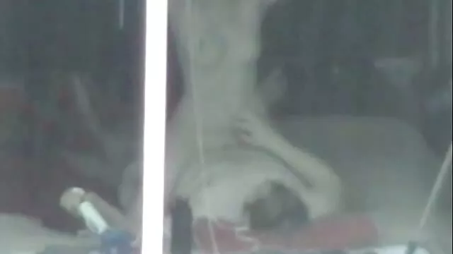 دوجنسی, مردم در استخر سازماندهی انجمن شهوانی یک