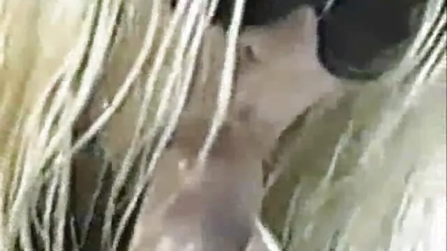او نشسته فریبنده بر فیلم سکسی سایت لوتی روی نیمکت, گسترش پاهای او را و نوازشگر روند خود او